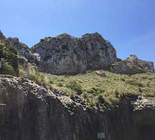 Bilder sagen mehr als Worte