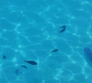 Herrlich klares Wasser