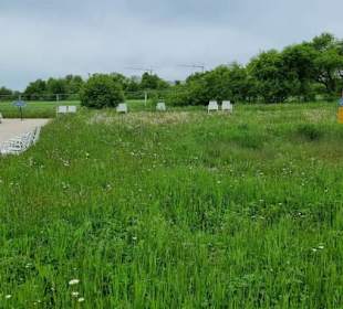 Alles rein Naturbelassen 
