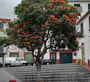 Altstadt Funchal