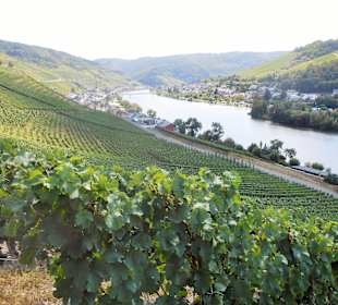 Oberhalb von Zell