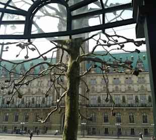 Rathaus