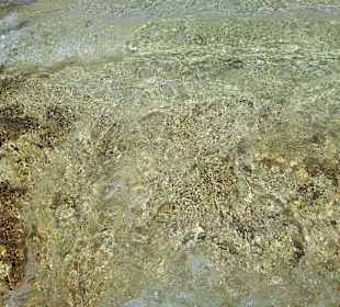 Kristallklares Wasser .....in dem man schwebt......