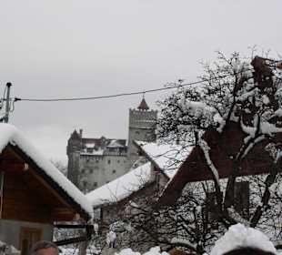 Не далеко от синаи