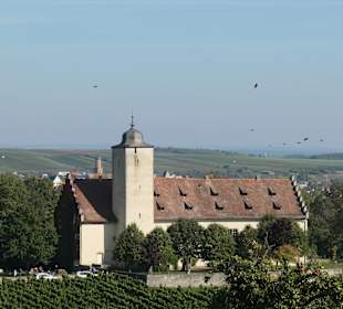 Schloß Hallburg auf der Maininsel bei Volkach