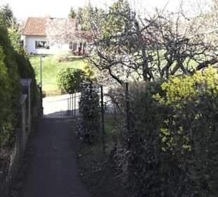 Scheibengipfel