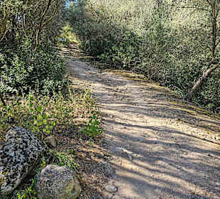 Wandern Playa de Palma - Palma