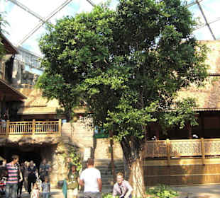 Godwanaland im Zoo Leipzig