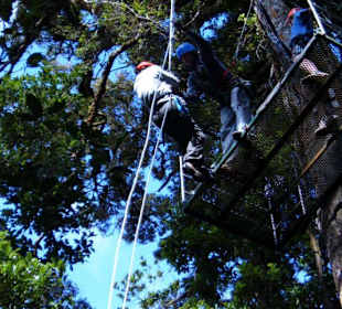 Canopy -Tour