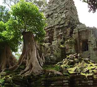 Angkor chramy