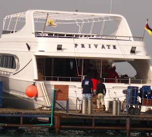 Yacht für Delfintour