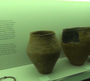 Niedersächsisches Landesmuseum