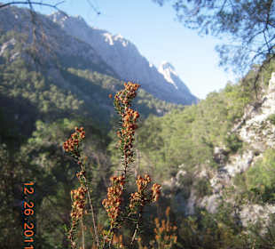 Wandern im Nationalpark