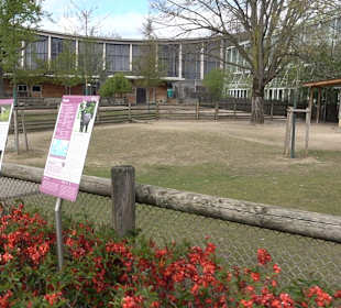 Zoologischer Stadtgarten