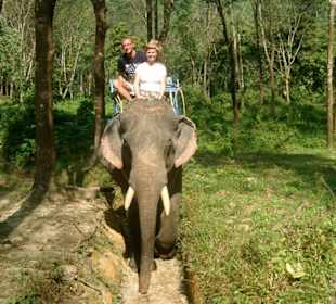 Elephant Trekking