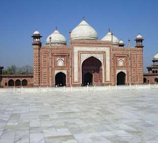 Mosche auf dem Gelände des Taj Mahal