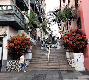 Wandern Puerto de la Cruz