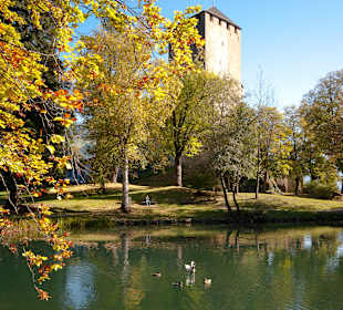 Museum Schloss Bruck, Silvia Ebner