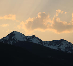 ...tolle Silhouette!