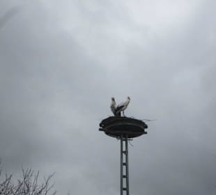 Tierpark Bad Schönborn