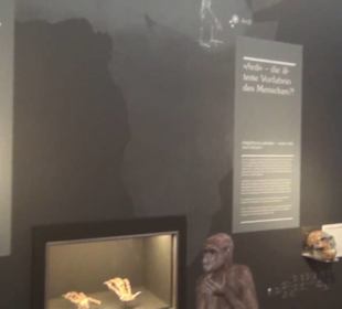 Niedersächsisches Landesmuseum