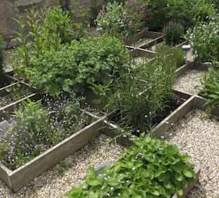 Benediktinerkloster Lorch