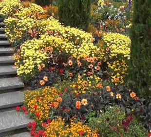 Italienische Blumen-Wassertreppe