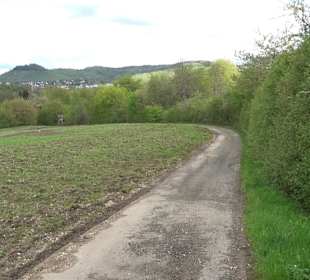 Naturerlebnisweg des NABU-Metzingen