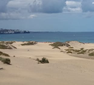 Dünen von Maspalomas
