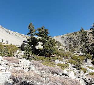 Виды с гор Сан-Габриэль