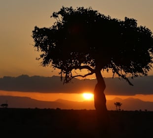 Sonnenuntergang in Tsavo Ost