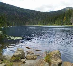 Großer Arbersee