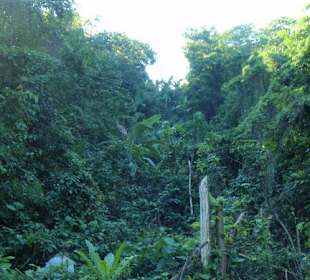 Bergtour Picco Isabell