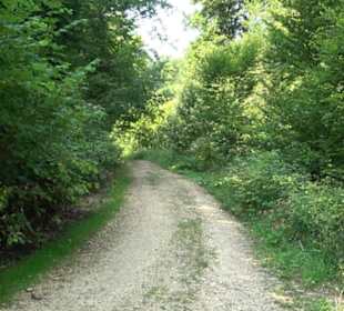 Premiumwanderweg "hochgesprudelt"