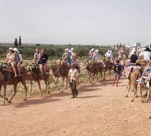Kameltour im Umland von Sousse