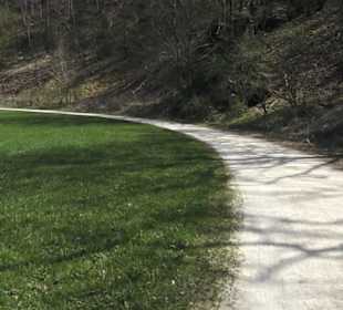 Waldlehrpfad an der Lauter