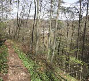 Wanderweg Hochgehkämpft