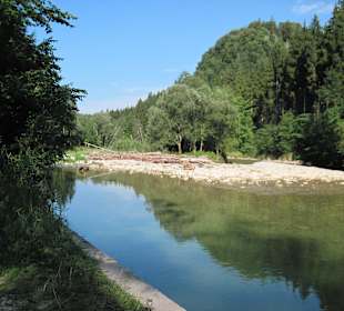 Ammer