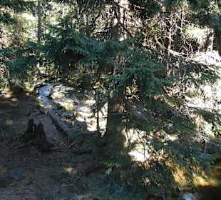 Karkonoski Park Narodowy