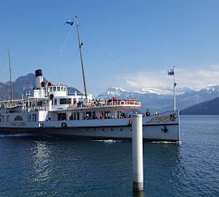 Kursschiff bei Weggis