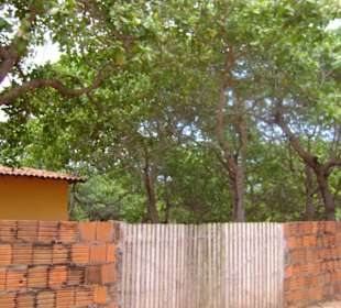 Buggy tour lagoa de paraiso