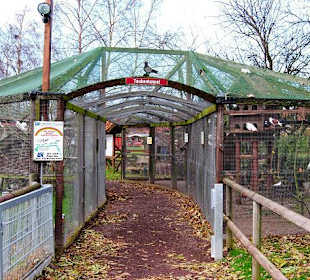 Haustierpark - Taubentunnel
