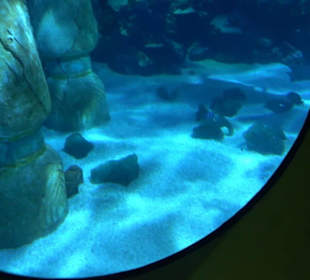  Lego X-Treme - Legoland Atlantis by SEA LIFE