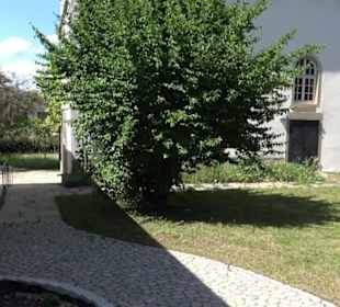 St. Stephanskirche Mähringen