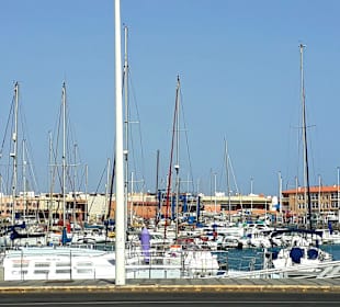 Inselrundfahrt Tagesausflug