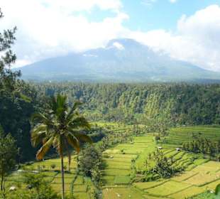 Vorland vor Mount Agung