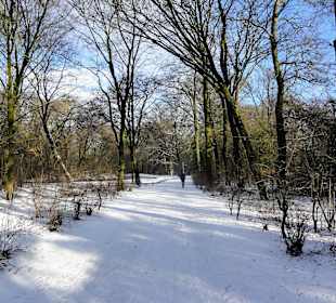 Winterspaziergang durch den Bürgerpark