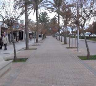 Carretera Del Arenal Balneario