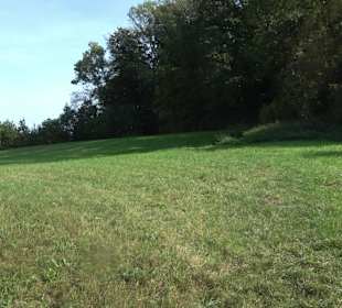 Wanderung zur Burgruine Liebenau