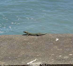 Kaffeepause zu dritt